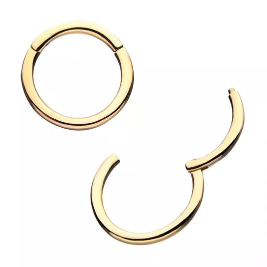 14Kt Yellow Gold Basic Hinged Segment Clicker