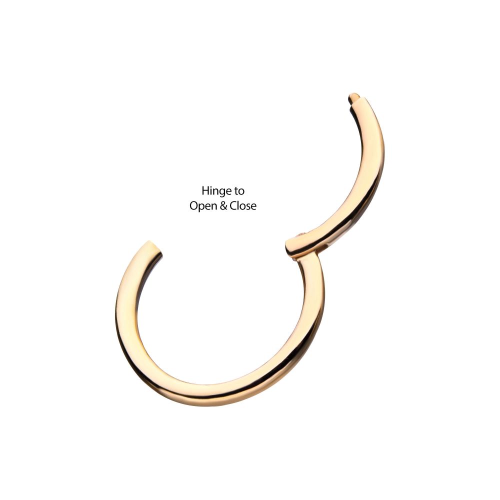 14Kt-Yellow Gold Basic Hinged Segment Clicker