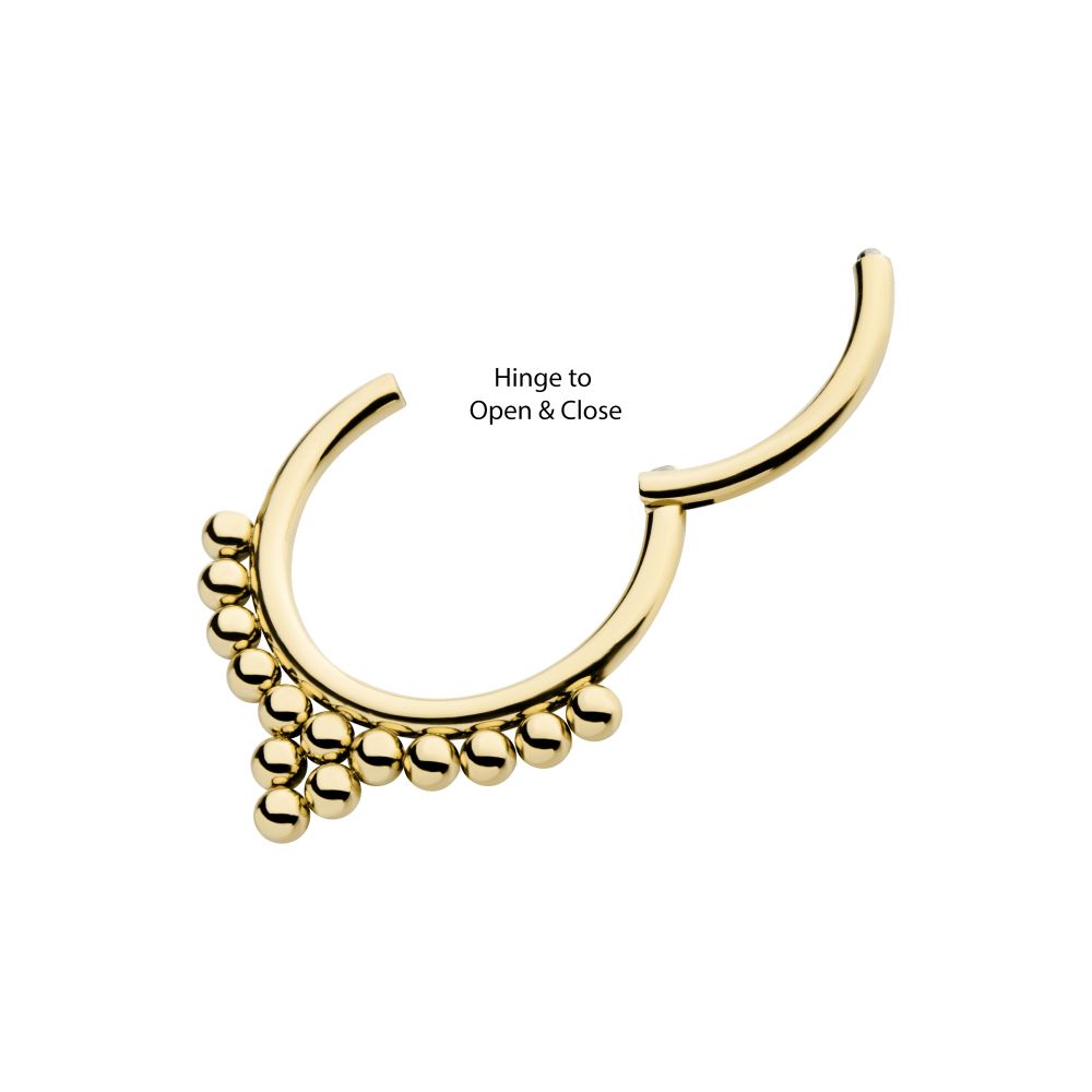 14Kt Yellow Gold 14 Bead Cluster Front Facing Hinged Segment Clicker