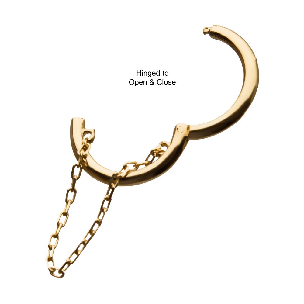 14Kt Yellow Gold with Chain Hinged Segment Clicker