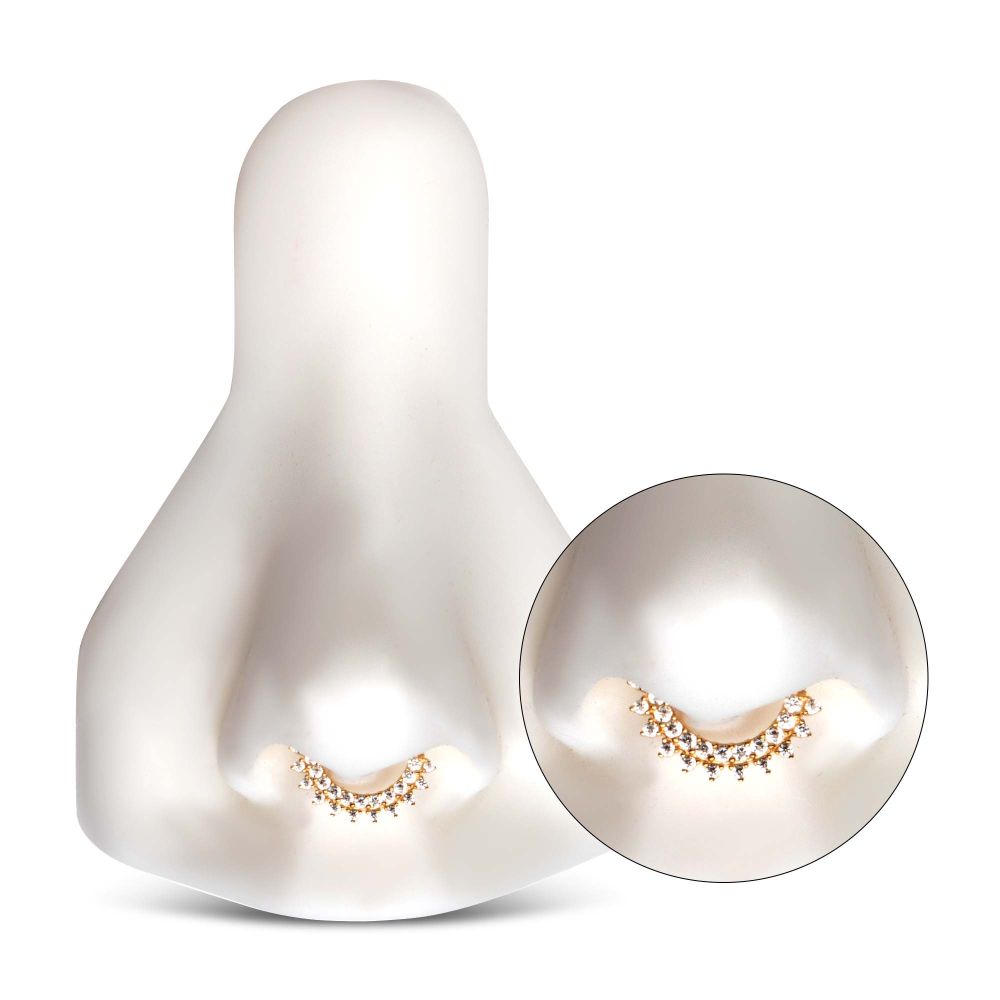 14Kt Yellow Gold with Double Row Prong Set Clear CZ Front Facing Hinged Segment Clicker