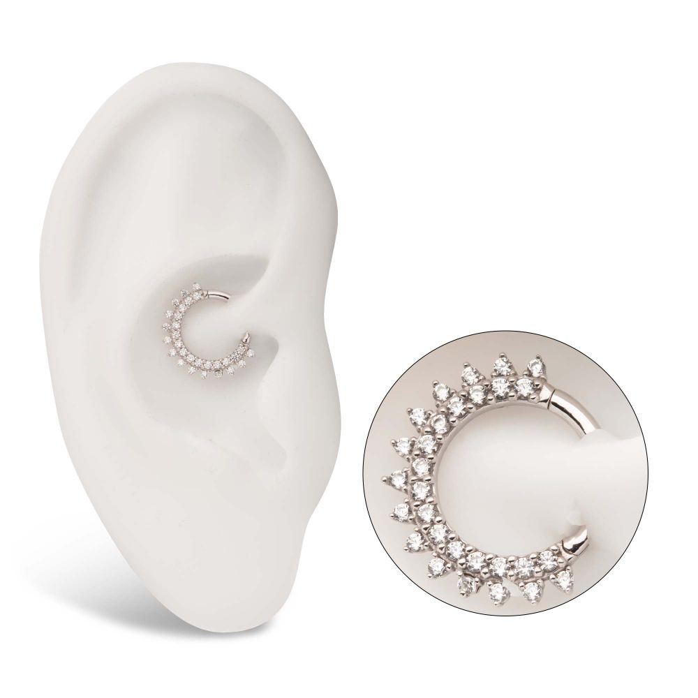 14Kt Yellow Gold with Double Row Prong Set Clear CZ Front Facing Hinged Segment Clicker