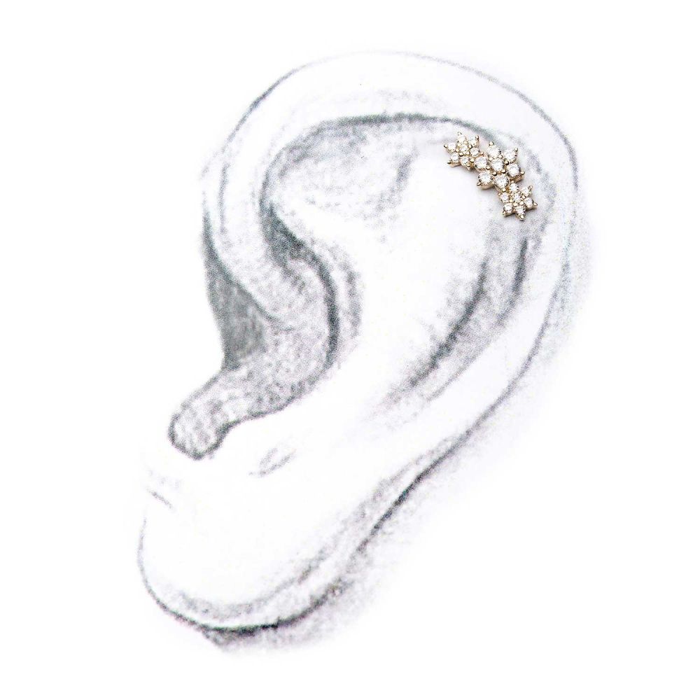 14kt Gold Threadless Prong Set Multi-Clear CZ Tri-Flower Top