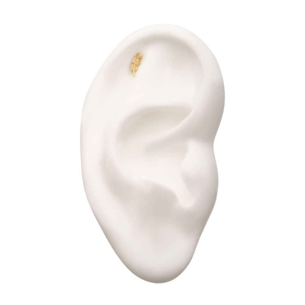 14Kt Gold Threadless with Aria Leaf Top