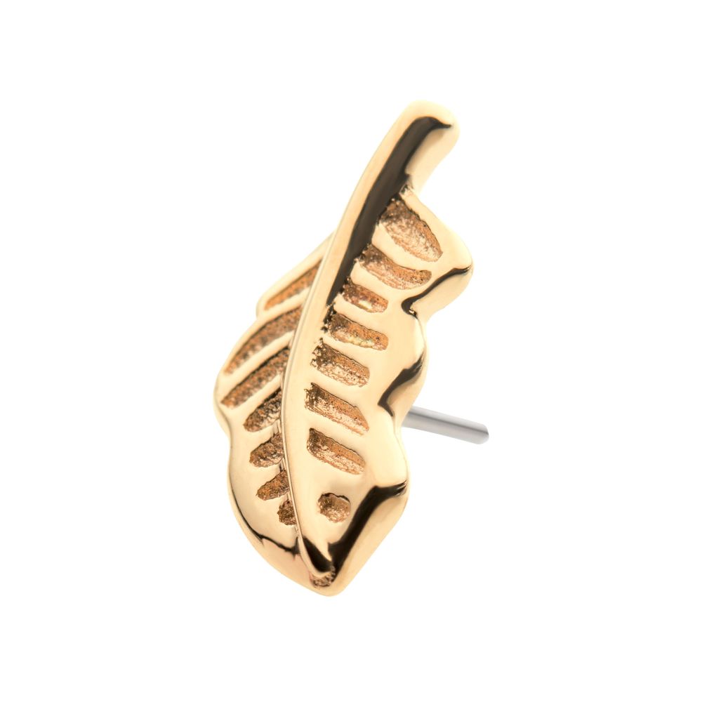 14Kt Yellow Gold Threadless Feather Top