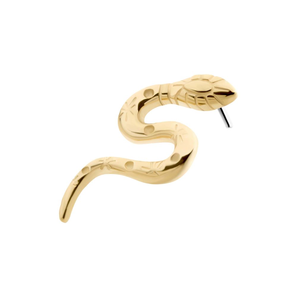 14Kt Yellow Gold Threadless Snake Top