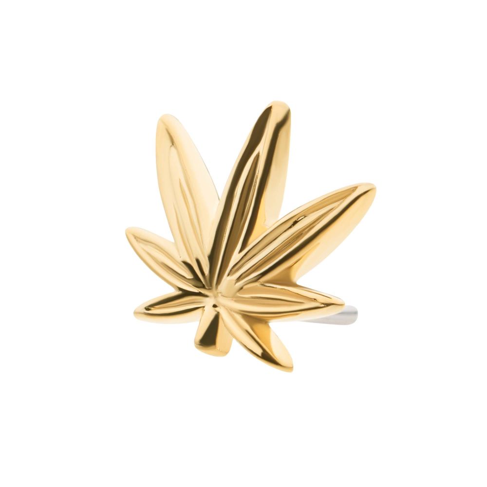 14kt Yellow Gold Threadless Pot Leaf Top