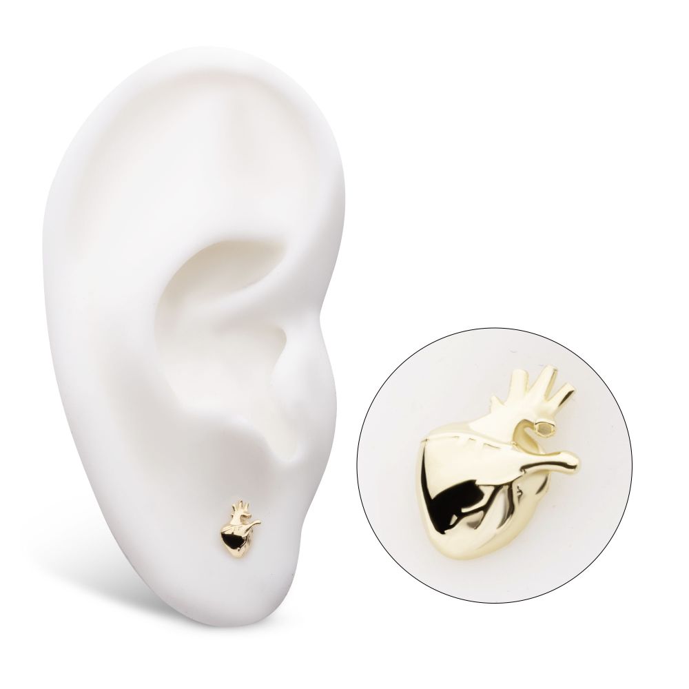14Kt Gold Threadless Anatomical Heart Top