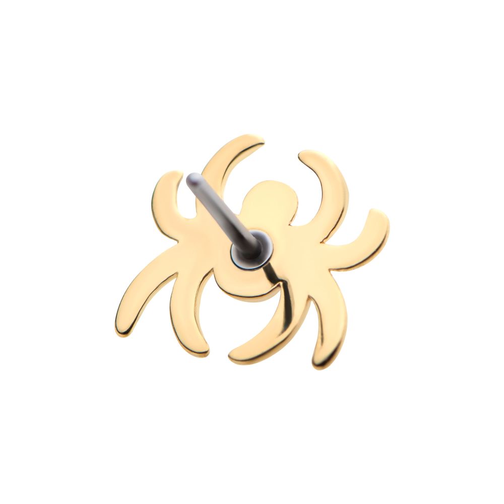 14Kt Gold Threadless with Spider Top