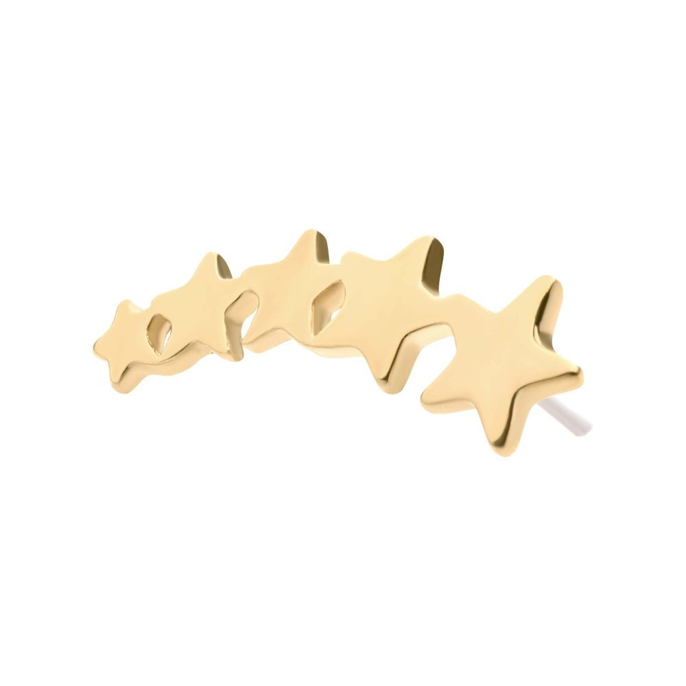 14Kt Yellow Gold Threadless with 5-Cluster Star Top