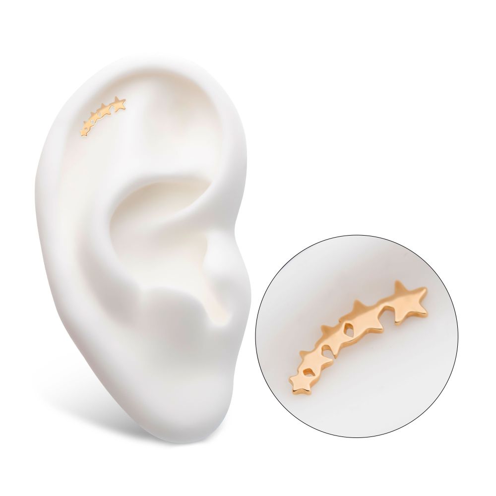 14Kt Yellow Gold Threadless with 5-Cluster Star Top