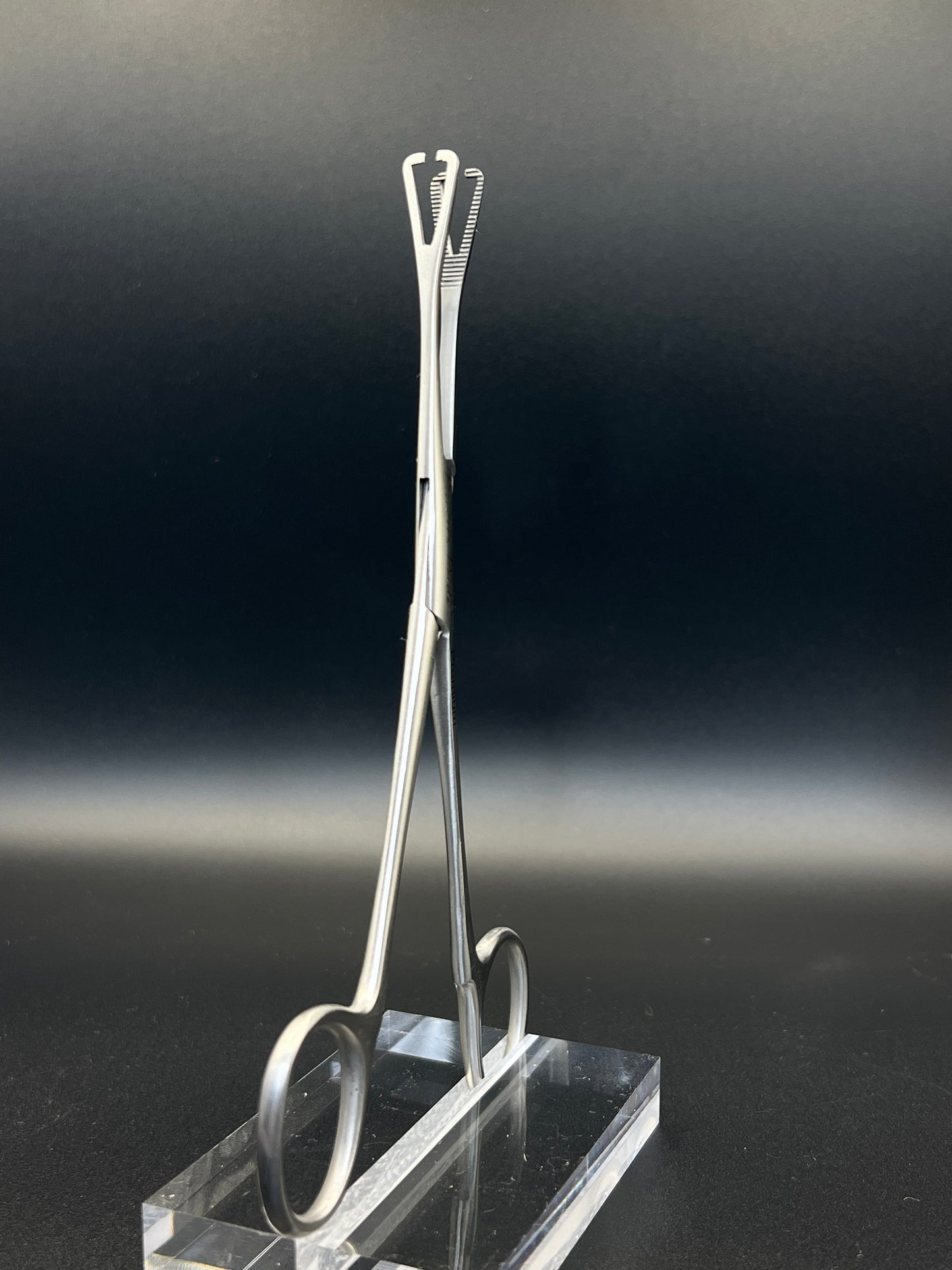 Piercers Pride Slotted Pennington Clamp 6"