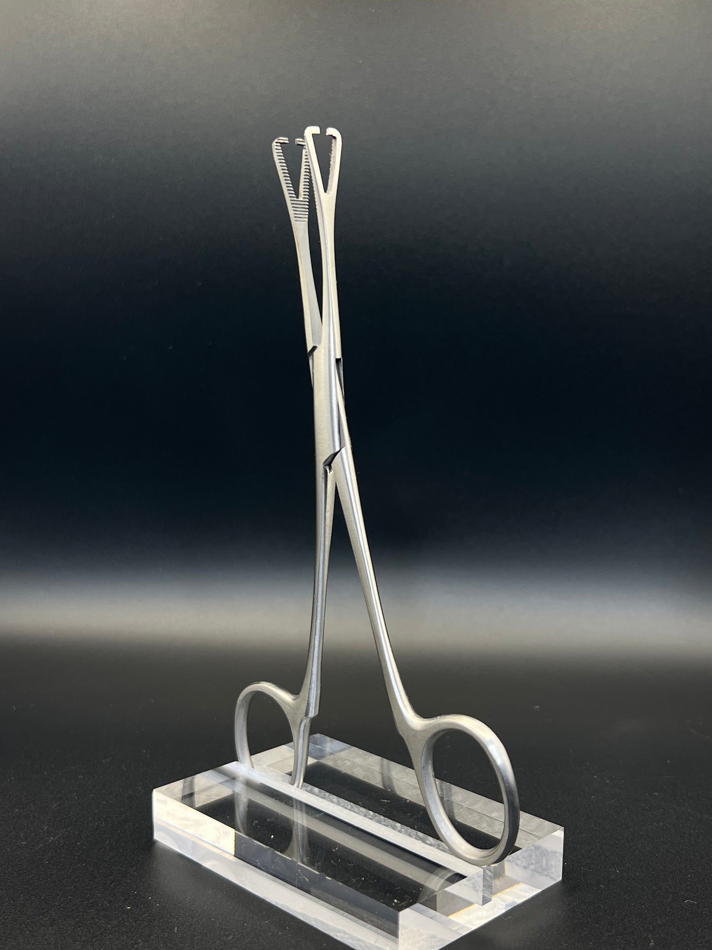 Piercers Pride Slotted Pennington Clamp 6"
