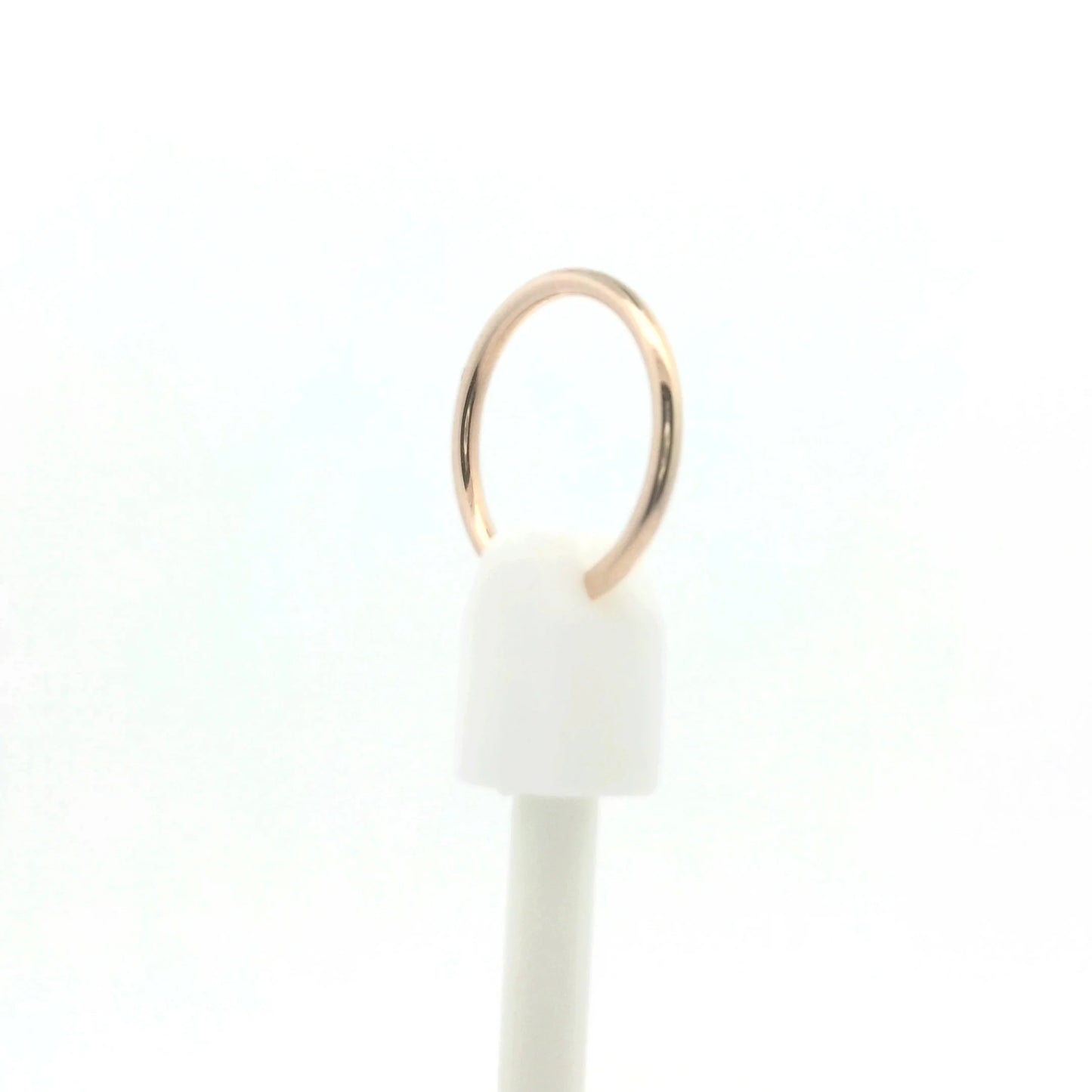 Earth Series Ring Holder
