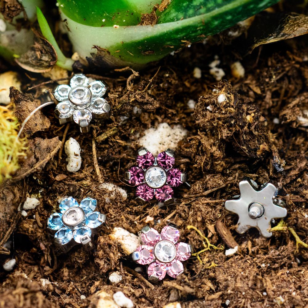 Titanium Internally Threaded Prong Set CZ Gem Flower Top