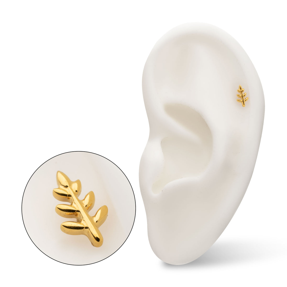 24kt Gold PVD Titanium Threadless Fern Leaf Top
