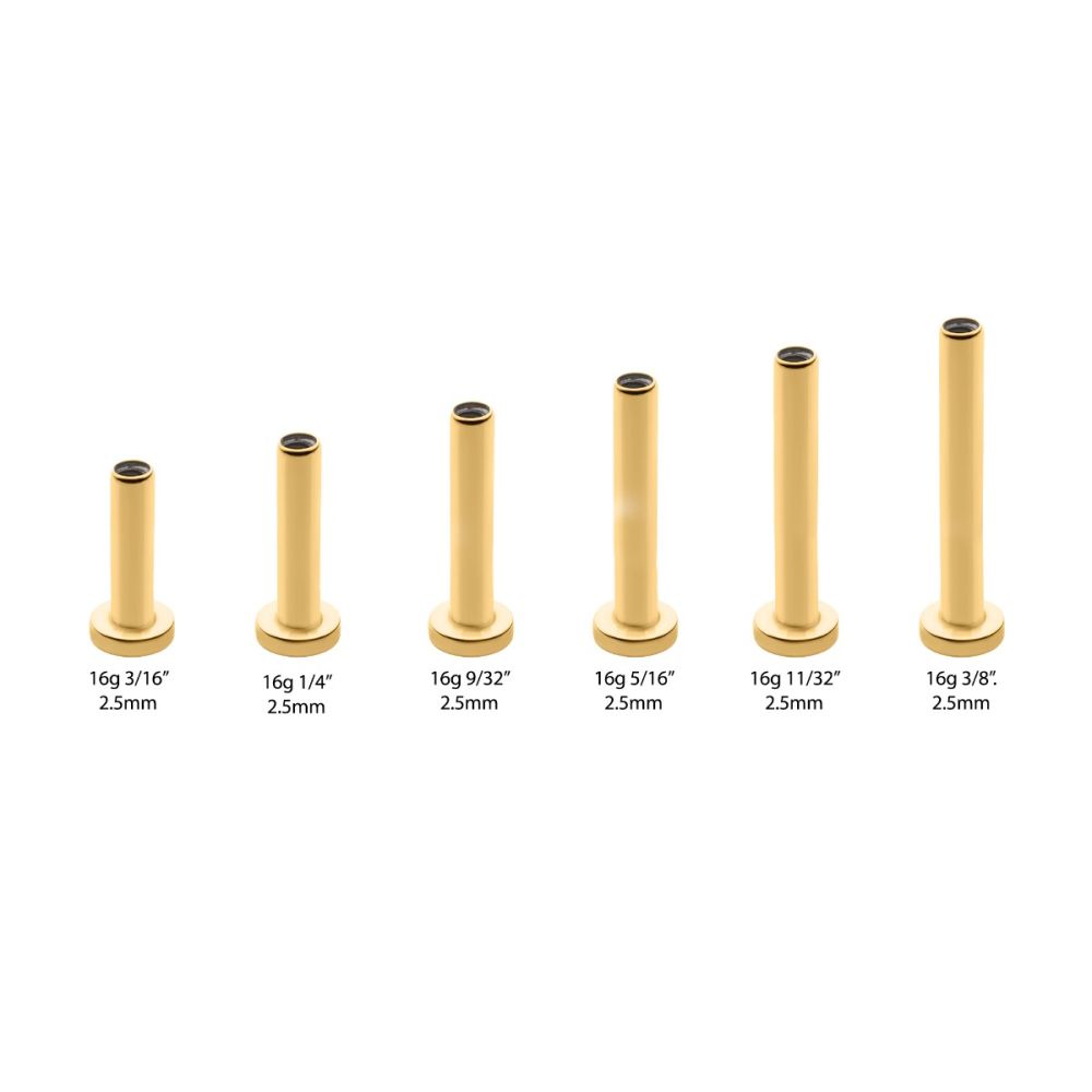 24K Gold PVD Titanium Internally Threaded Micro Labret Pin with 2.5mm Base