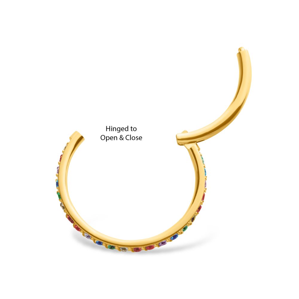 24Kt Gold PVD Titanium with CNC Set Rainbow Eternity CZ Side Facing Hinged Segment Clicker