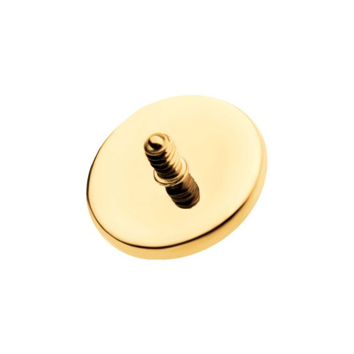24Kt Gold PVD Titanium Internally Threaded Hammered Disk Top