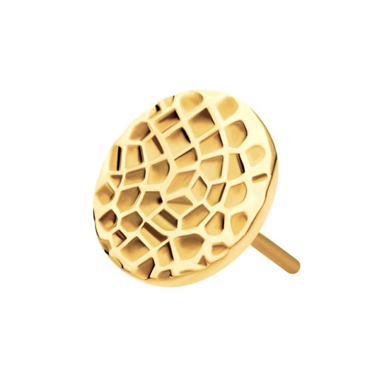 24Kt Gold PVD Titanium Threadless Hammered Disk Top