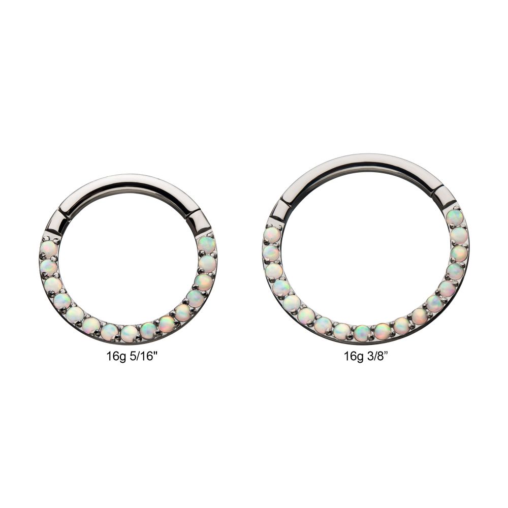 Titanium with Front Full Clear Eternity Gem Hinged Segment Clicker