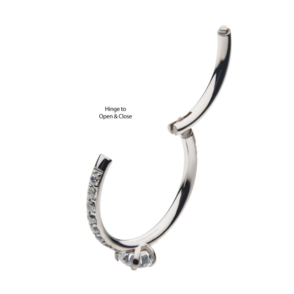 Titanium with Centerpiece Prong Set Round Clear CZ Eternity Side Facing Hinged Segment Clicker