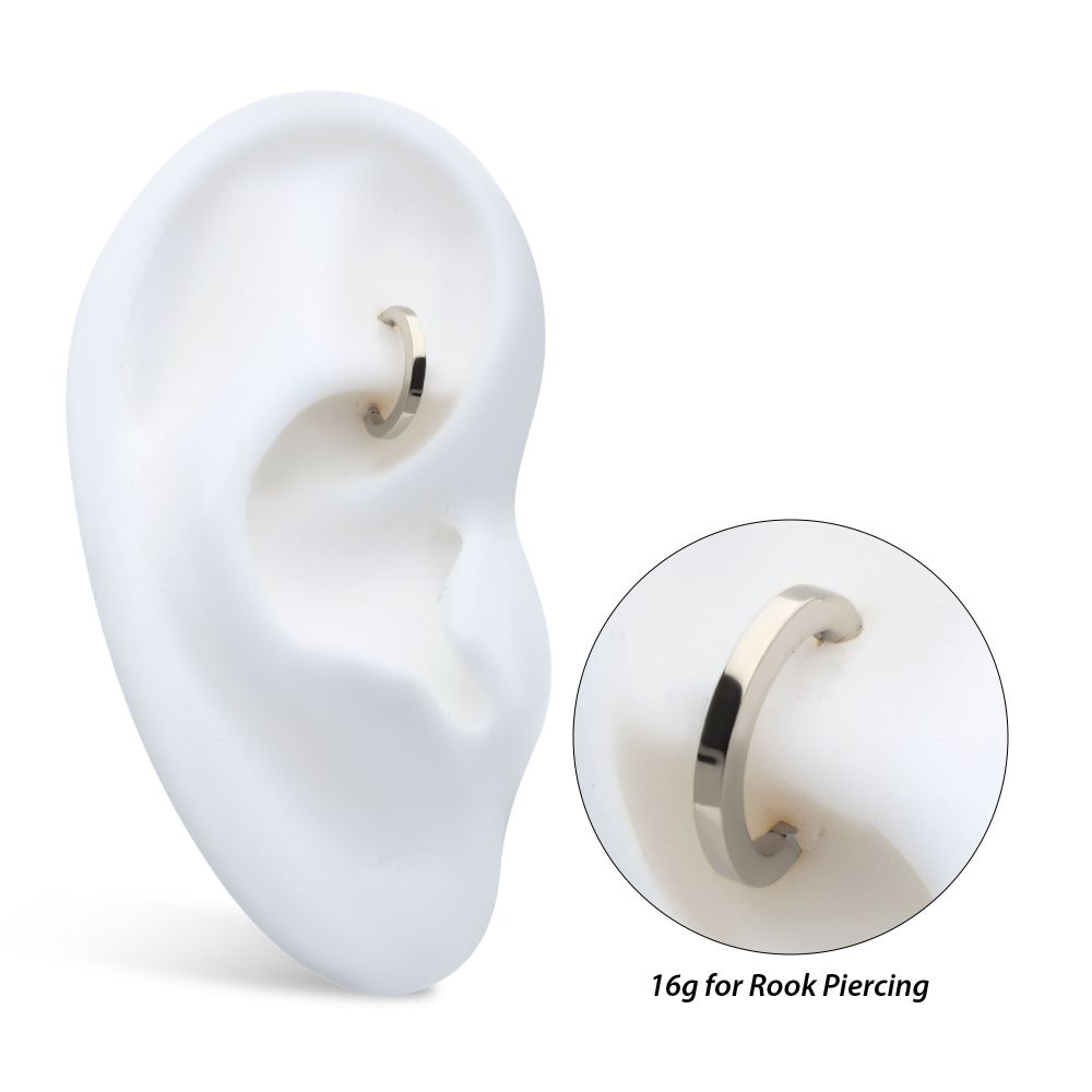 16g Titanium Oval Shape Hinged Segment Clicker (for Rook Piercing)