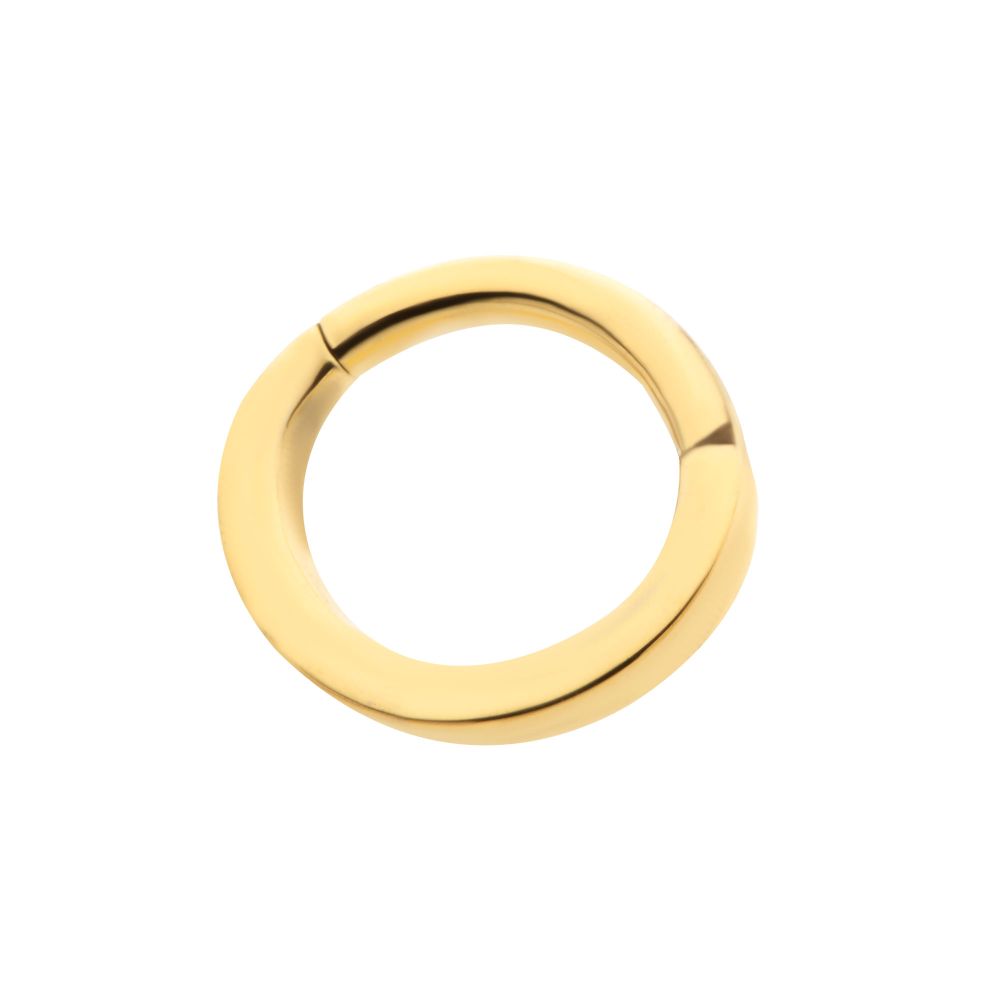 16g 24Kt Gold PVD Titanium Oval Shape Hinged Segment Clicker (for Rook Piercing)