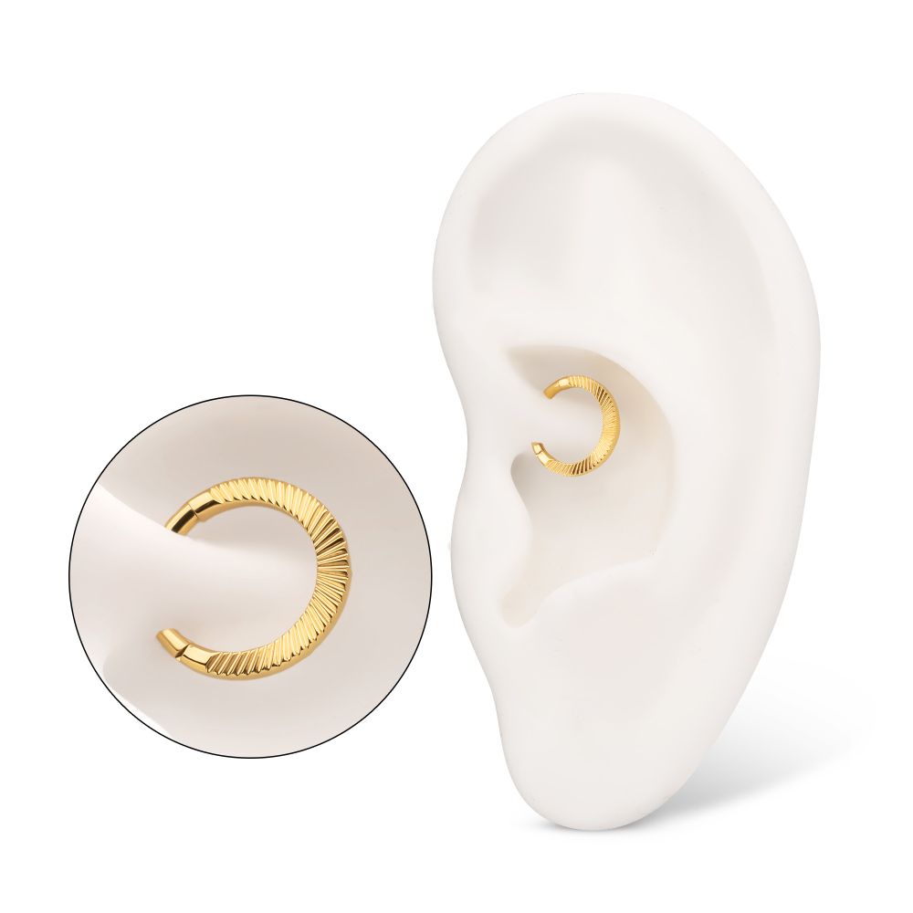 24Kt Gold PVD Titanium Radiant Round Hoop Front Facing Hinged Segment Clicker