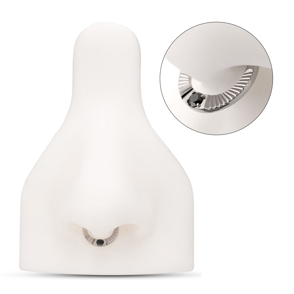 Titanium Radiant Hoop with Black Prong Set Gem Front Facing Hinged Segment Clicker