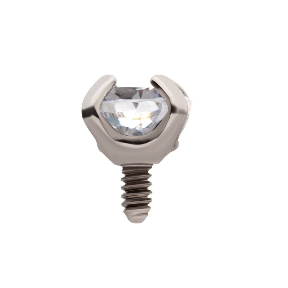 Titanium Internally Threaded with 4-Prong Set Heart CZ Top