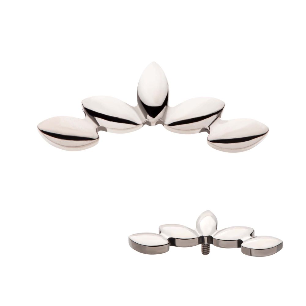 Titanium Internally Threaded 5-Cluster Fan Shape Top