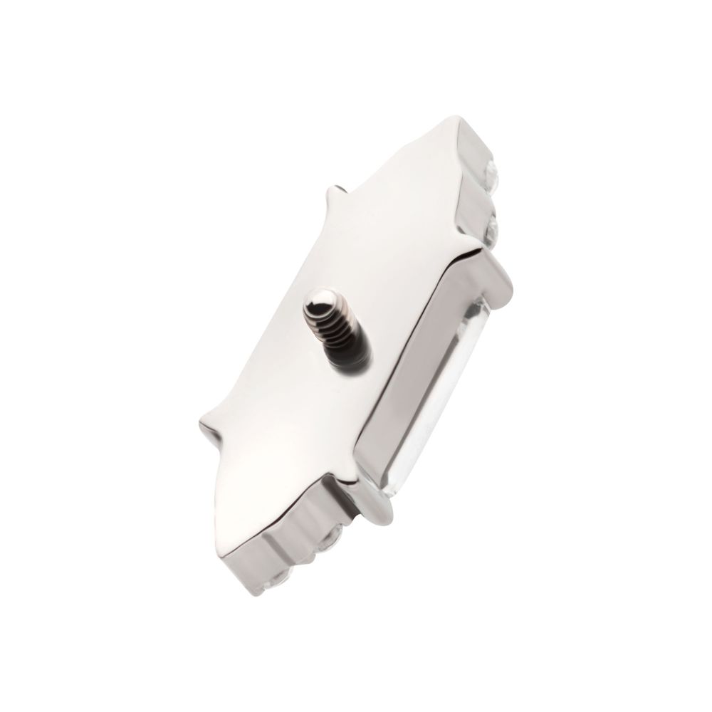 Titanium Internally Threaded Pronged Baguette & Round CZ 7-Cluster Top