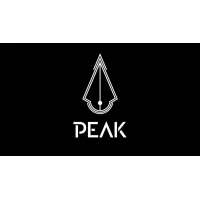 Peak Dotwork Ballpoint Pen Drawing Cartridges | Precision Dotwork & Illustration Tools