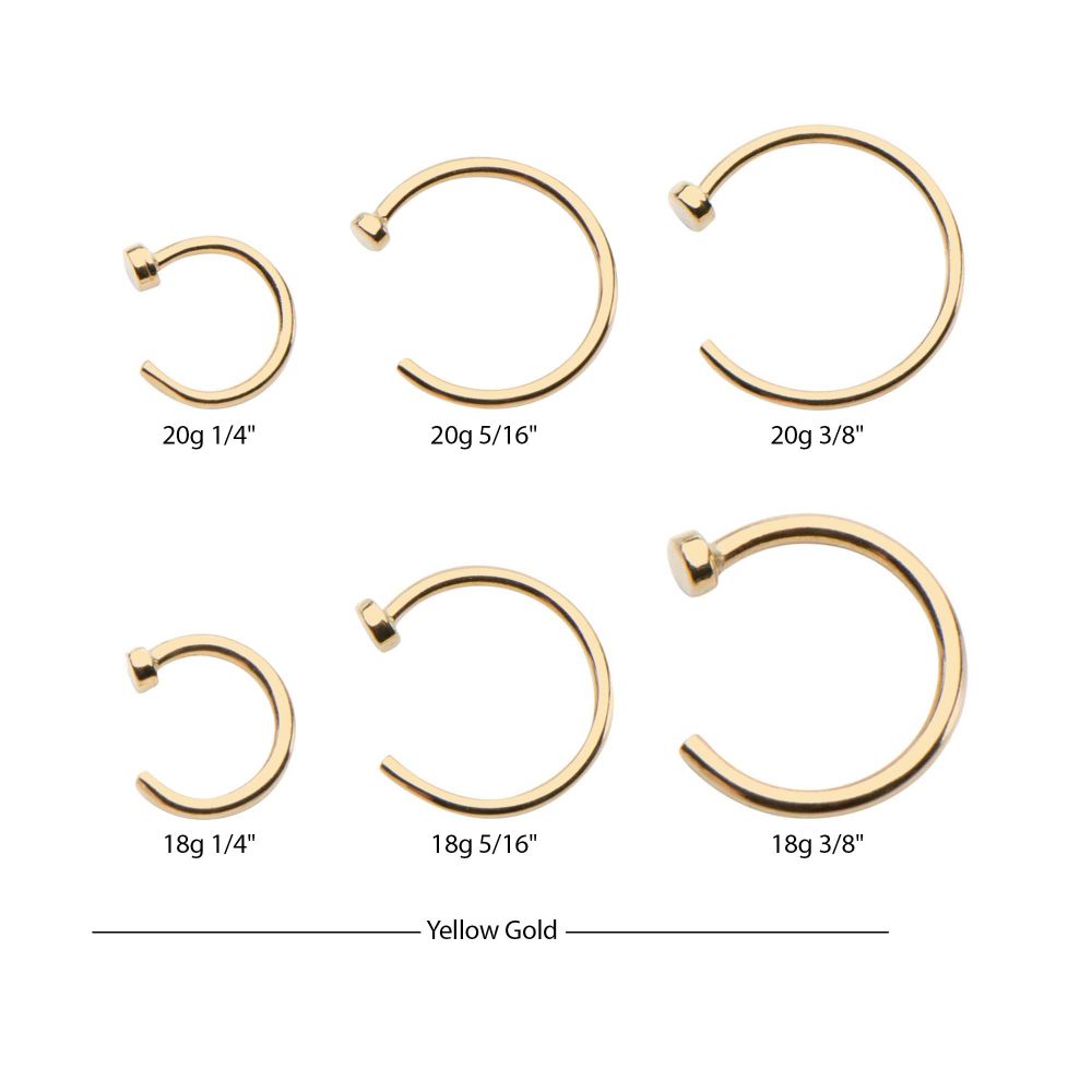 14kt Gold with 2mm Flat Back Nose Ring