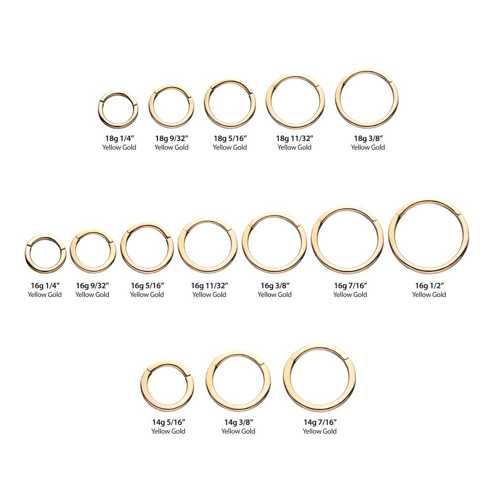 14Kt-Yellow Gold Basic Hinged Segment Clicker