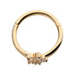 14Kt Gold with Centerpiece Prong Set Clear CZ Flower Side Facing Hinged Segment Clicker