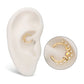14Kt Yellow Gold Prong Set Round Gem Cluster & Triple Moon Phase Front Facing Hinged Segment Clicker
