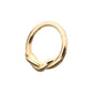 14Kt Yellow Gold Snake Twisted Front Facing Hinged Segment Clicker