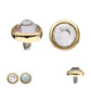 14Kt Yellow Gold Internally Threaded Bezel Set Flat Bottom Clear Crystal/Low Profile Opal Top Dermal