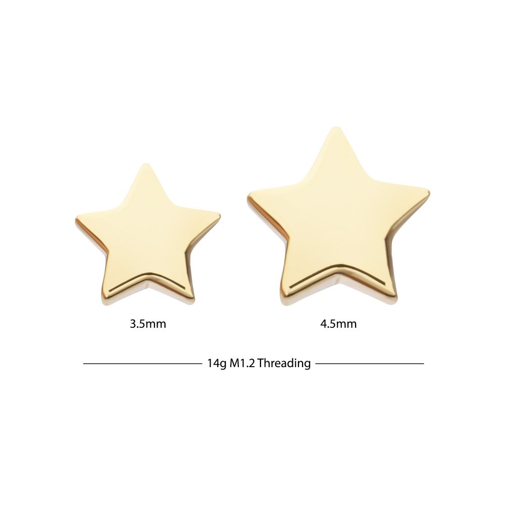 14Kt Yellow Gold Internally Threaded Star Top Dermal