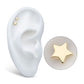 14Kt Yellow Gold Internally Threaded Star Top Dermal
