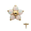 14Kt Yellow Gold M0.8 Internally Threaded 5-Petal Opal Flower Top
