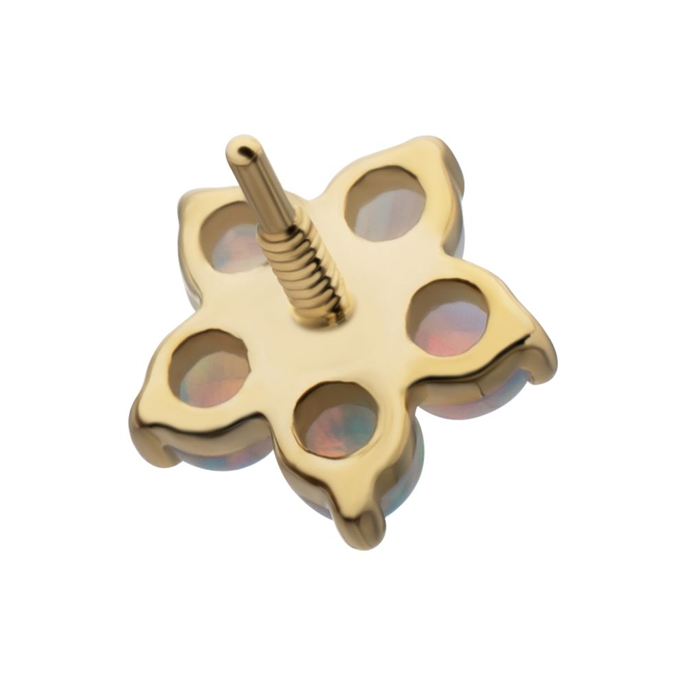 14Kt Yellow Gold M0.8 Internally Threaded 5-Petal Opal Flower Top