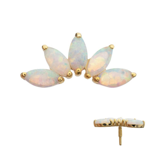 14Kt Yellow Gold M0.8 Internally Threaded 5-Cluster Marquise Opal Fan Top