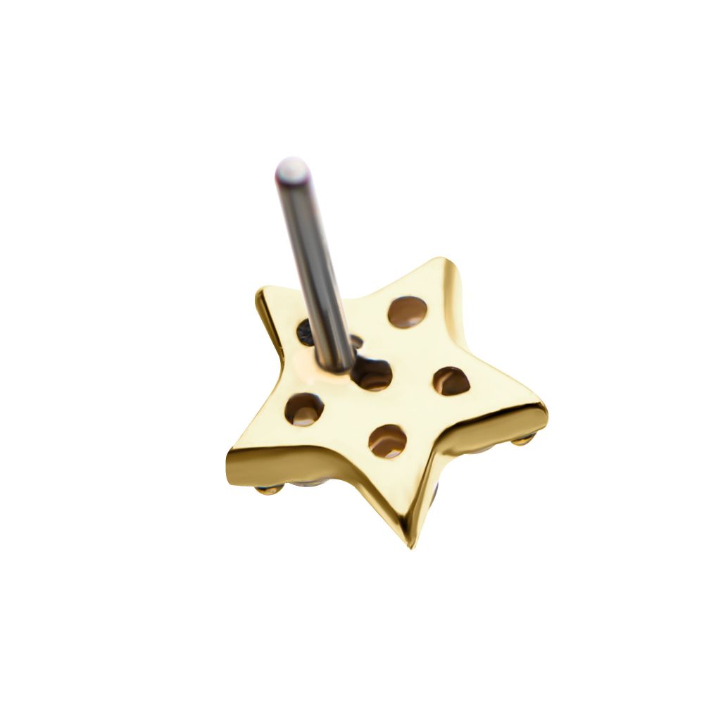14kt Gold Threadless Multi-Clear CZ Star Top