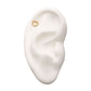 14Kt Yellow Gold Threadless  Heart Beads Top