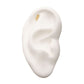 14Kt Gold Threadless with Aria Leaf Top
