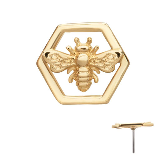 14Kt Yellow Gold Threadless Hexagon Bee Top