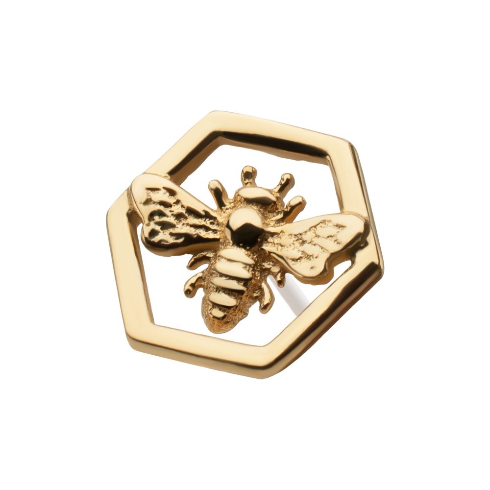 14Kt Yellow Gold Threadless Hexagon Bee Top